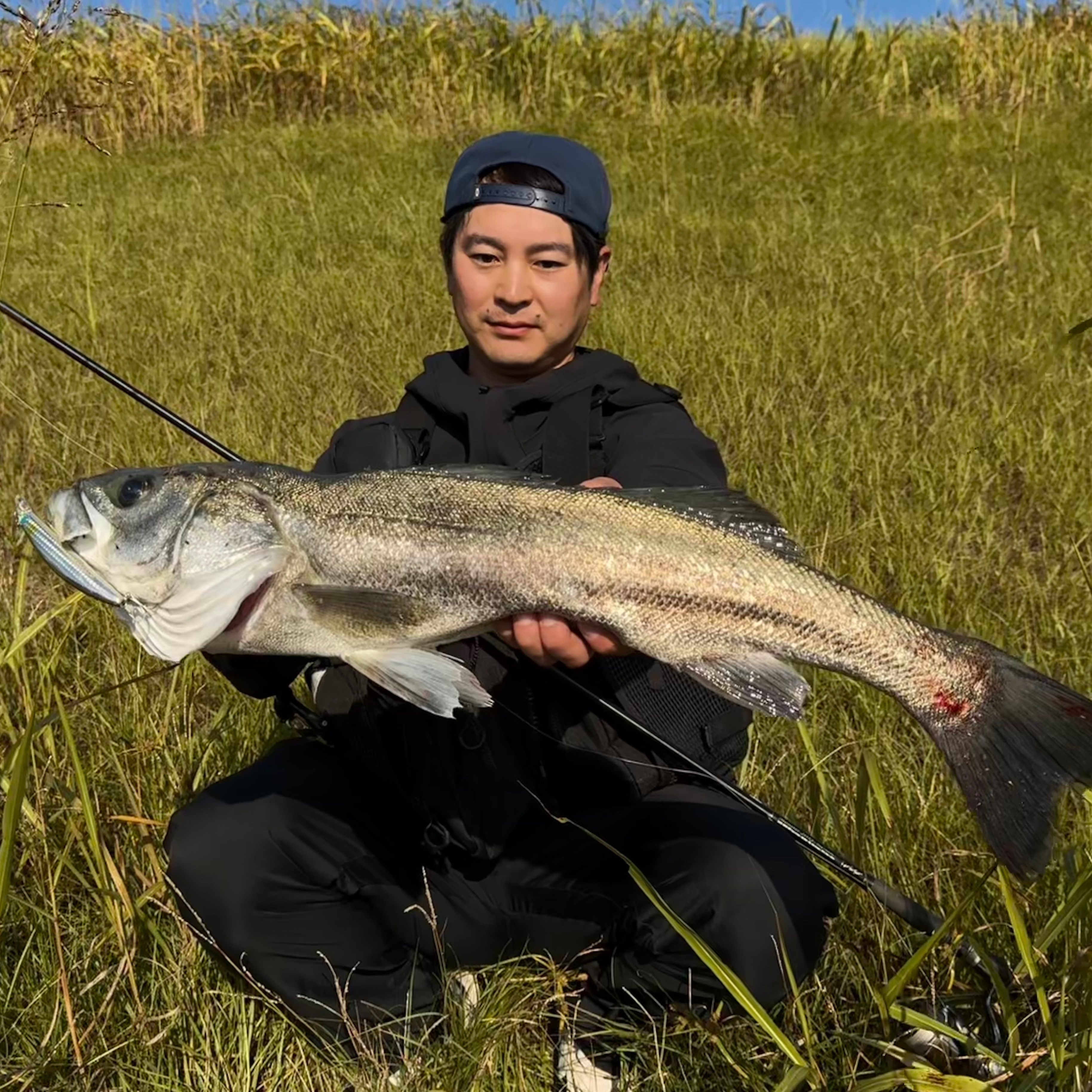 相棒のシーバス修行③